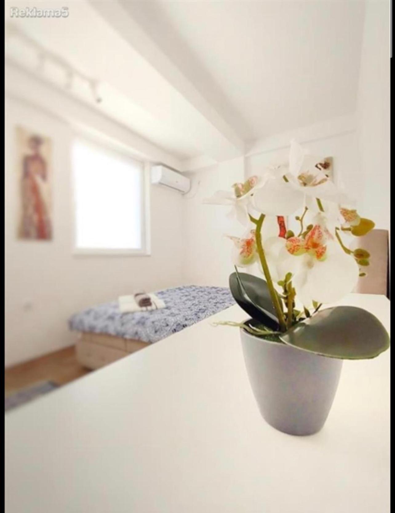 Luxury Skopje Apartments Εξωτερικό φωτογραφία